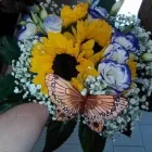 Immagine 7 azienda IL LARGO FIORITO Shopping e acquisti in Marnate VA