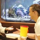 Immagine 7 azienda IL MELO Servizi professionali in Gallarate VA