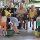 Immagine 8 azienda IL MELO Servizi professionali in Gallarate VA