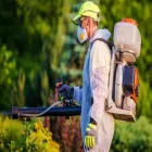 Immagine 3 azienda IL MELOGRANO - IMPRESA DI PULIZIE A PARMA Servizi professionali in Parma