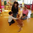 Immagine 7 azienda IL MICINO Scuola infanzia in Torino