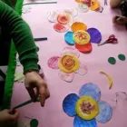 Immagine 7 azienda IL PAESE DELLE MERAVIGLIE Servizi professionali in Albano Laziale RM