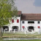 Immagine 7 azienda IL SELGARO Viaggi e turismo in Mestre VE