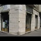 Immagine 3 azienda IM.SI.EL. Veicoli in Torino