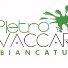 Immagine 1 azienda IMBIANCATURE PIETRO VACCARO Realizzazione di coperture e tetti in Pisa