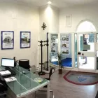 Immagine 4 azienda IMMOBIL CENTER Immobiliare e ristrutturazioni in Albano Laziale RM