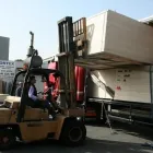 Immagine 6 azienda IMPORTEX Shopping e acquisti in Pomezia RM