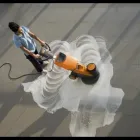 Immagine 2 azienda IMPRESA DI PULIZIA PULISERVICE Servizi professionali in Ravenna