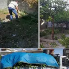 Immagine 4 azienda IMPRESA DI PULIZIE E SERVIZI MANUTENSERVICE NAPOLI Servizi professionali in San Giorgio A Cremano NA