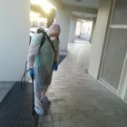 Immagine 9 azienda IMPRESA DI PULIZIE E SERVIZI MANUTENSERVICE NAPOLI Servizi professionali in San Giorgio A Cremano NA