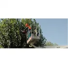 Immagine 4 azienda IMPRESA DI PULIZIE ECO SERVICE Spazzacamini in Ravenna