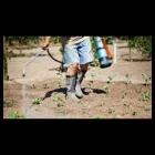 Immagine 1 azienda IMPRESA DI PULIZIE LA LUCENTE EPIFANI Servizi professionali in Cardano Al Campo VA