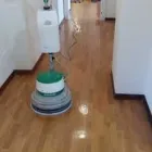 Immagine 5 azienda IMPRESA DI PULIZIE MILANI Servizi professionali in Varese