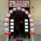 Immagine 1 azienda IMPRESA DI PULIZIE OASI DEL PULITO Shopping e acquisti in Torino