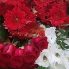 Immagine 9 azienda IMPRESA FUNEBRE ARCANGELO GINO Servizi professionali in Vicenza