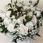 Immagine 1 azienda IMPRESA FUNEBRE MANDRUZZATO Servizi professionali in Vo' PD