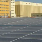 Immagine 5 azienda IMPRESA LEUCE Organizzazione per la protezione degli animali in San Ferdinando Di Puglia BT