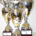 Immagine 5 azienda INCISORIA VICENTINA MIRKO TREU Trofei e distintivi in Vicenza