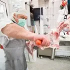 Immagine 2 azienda INGROSSO CARNI BOMBELLI Shopping e acquisti in Roma