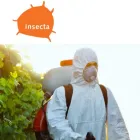 Immagine 1 azienda INSECTA Immobiliare e ristrutturazioni in Torino