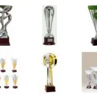 Immagine 4 azienda INTROINI & PAVAN PREMIAZIONI SPORTIVE Trofei e distintivi in Gallarate VA