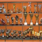 Immagine 6 azienda INTROINI & PAVAN PREMIAZIONI SPORTIVE Trofei e distintivi in Gallarate VA