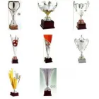 Immagine 7 azienda INTROINI & PAVAN PREMIAZIONI SPORTIVE Trofei e distintivi in Gallarate VA