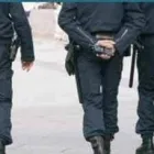 Immagine 4 azienda ISTITUTO DI VIGILANZA PRIVATA F.A.S. Veicoli in Cesa CE