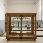 Immagine 2 azienda ISTITUTO PARITARIO MICHELANGELO Scuola primaria in Rimini