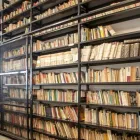 Immagine 3 azienda ISTITUTO PARITARIO MICHELANGELO Scuola primaria in Rimini