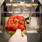 Immagine 2 azienda ITALDIBIPACK Shopping e acquisti in Pogliano Milanese MI