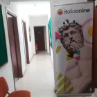 Immagine 1 azienda ITALIAONLINE WEB AGENCY Servizi professionali in Catania