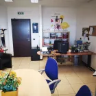 Immagine 1 azienda ITALIAONLINE WEB AGENCY Servizi professionali in Latina