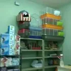 Immagine 3 azienda ITALPETS Servizi professionali in Giugliano In Campania NA