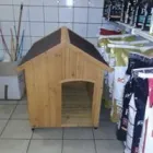 Immagine 4 azienda ITALPETS Servizi professionali in Giugliano In Campania NA