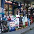 Immagine 5 azienda ITALPETS Servizi professionali in Giugliano In Campania NA