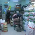 Immagine 7 azienda ITALPETS Servizi professionali in Giugliano In Campania NA