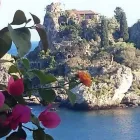 Immagine 1 azienda JENIA VIAGGI Wedding planner organizzazione matrimoni in Catania