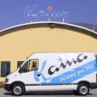 Immagine 3 azienda KAINA CALZATURE Shopping e acquisti in Bassano Del Grappa VI