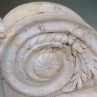 Immagine 2 azienda KALEIDOSTONE Shopping e acquisti in Napoli