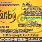 Immagine 3 azienda KARIBU Shopping e acquisti in Bagheria PA