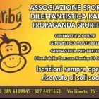 Immagine 4 azienda KARIBU Shopping e acquisti in Bagheria PA