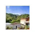 Immagine 5 azienda KETTY GARDEN Vivaio in Bisuschio VA