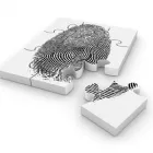 Immagine 1 azienda KRITERIA INVESTIGAZIONI Servizi professionali in Torri Di Quartesolo VI