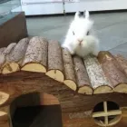 Immagine 2 azienda L'ACQUARIO PET STORY Shopping e acquisti in Napoli