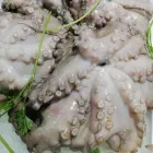 Immagine 1 azienda L'ANGOLO DEL PESCE Shopping e acquisti in Rosolini SR