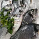 Immagine 3 azienda L'ANGOLO DEL PESCE Shopping e acquisti in Rosolini SR