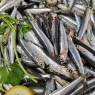 Immagine 6 azienda L'ANGOLO DEL PESCE Shopping e acquisti in Rosolini SR