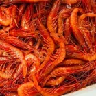 Immagine 5 azienda L'ANGOLO DELLE MEDUSE IL RISTORANTINO Ristorante in Fiumicino RM