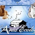 Immagine 1 azienda L'ARCA ECOLOGICA Shopping e acquisti in Barca